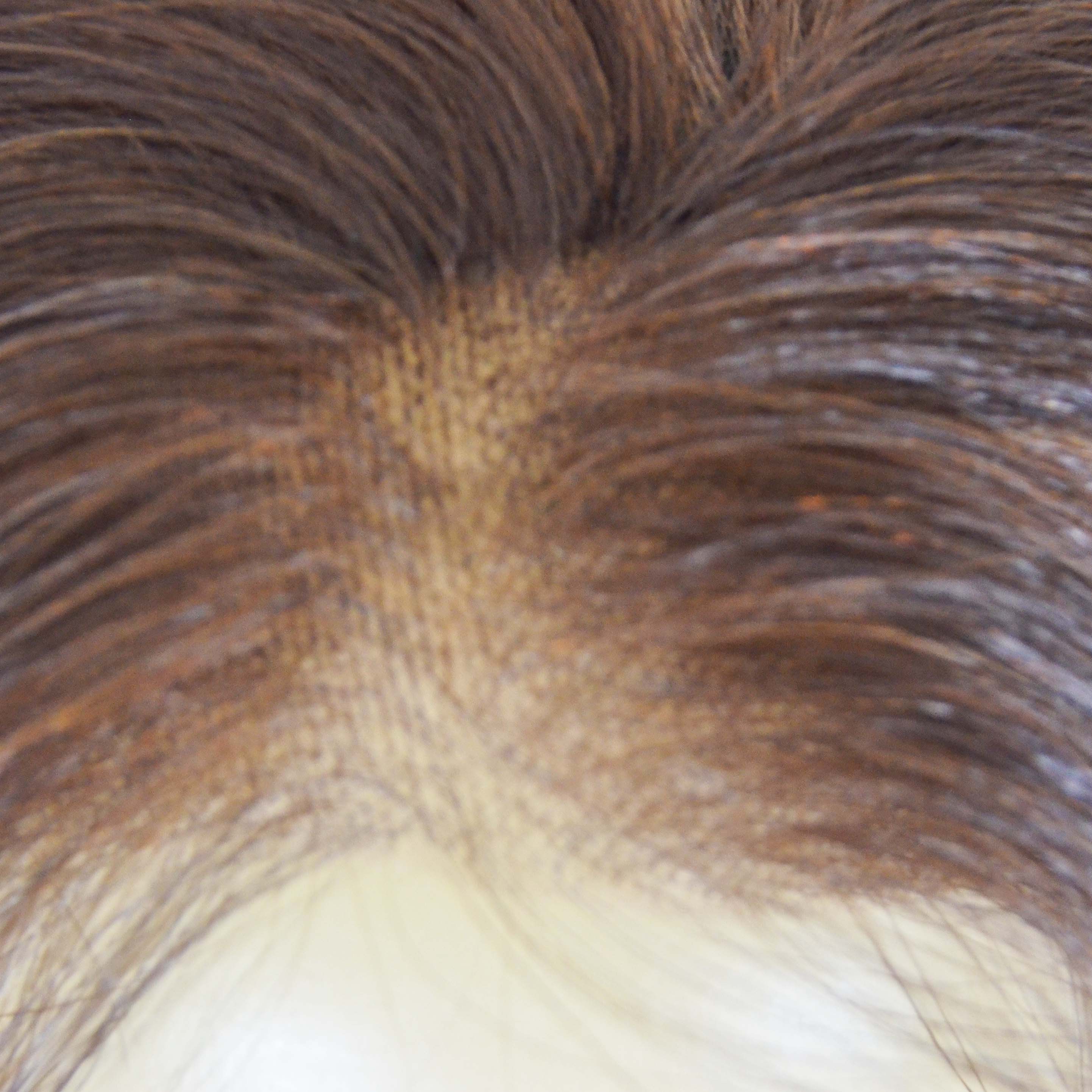 Peruca com tela Lace Front Wig - Cabelo Humano Processado